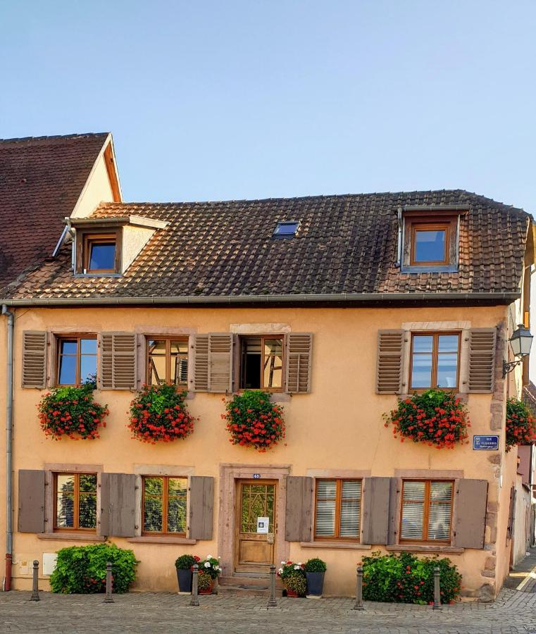 Apartament Chez Laurette A Bergheim Zewnętrze zdjęcie